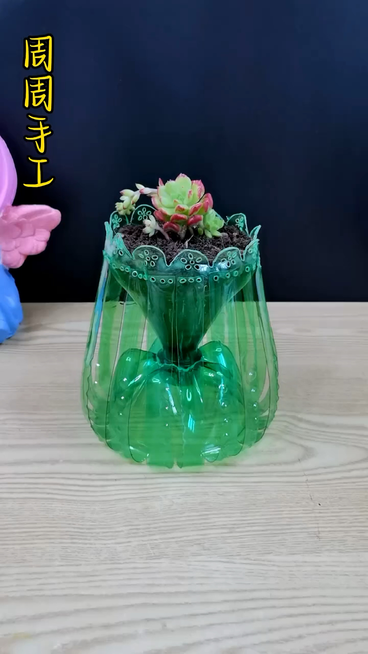 攒点瓶子一起来做个多肉小花盆吧,简单又好看