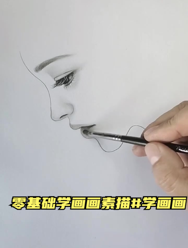 零基础学画画素描 学画画