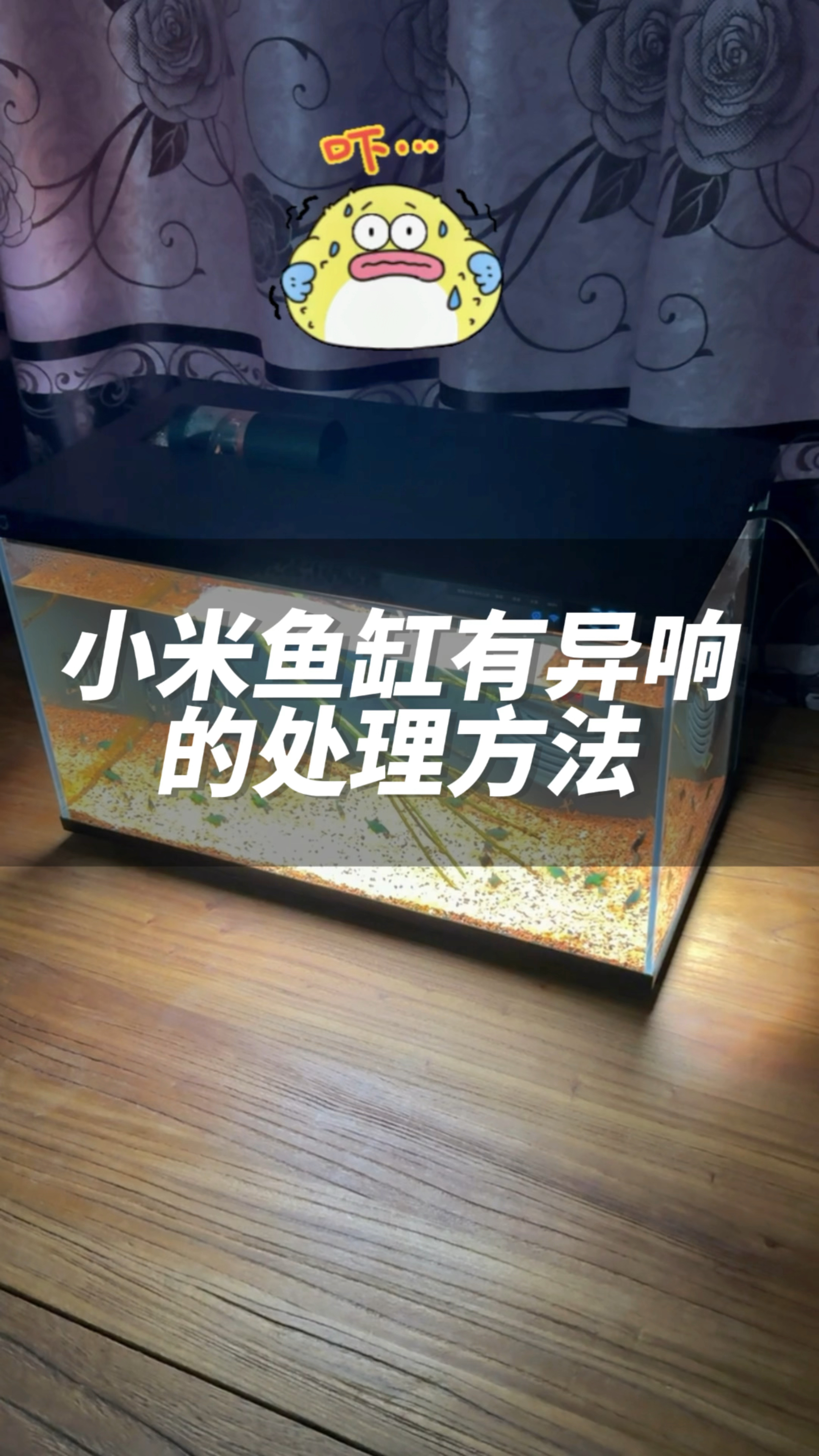 小米鱼缸有异响的处理方法