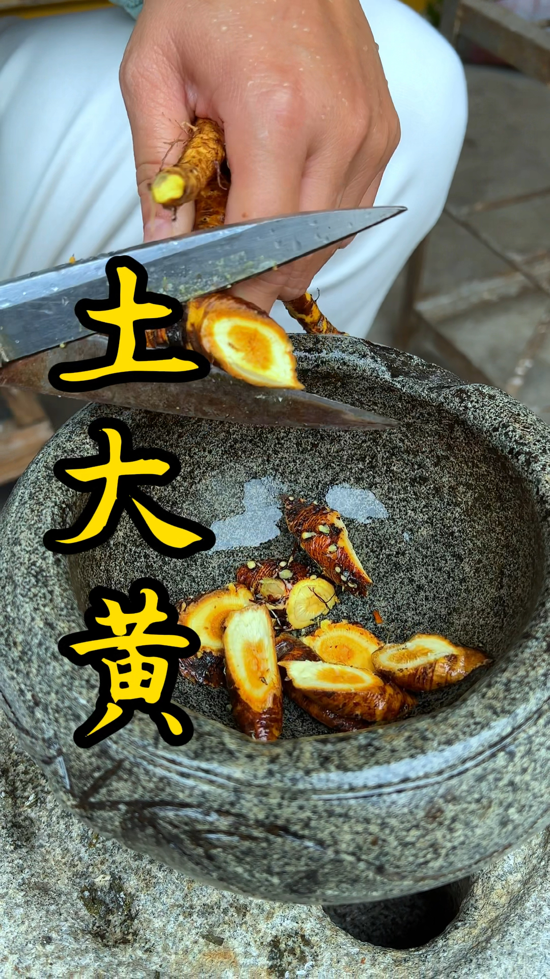 田间野菜～土大黄!