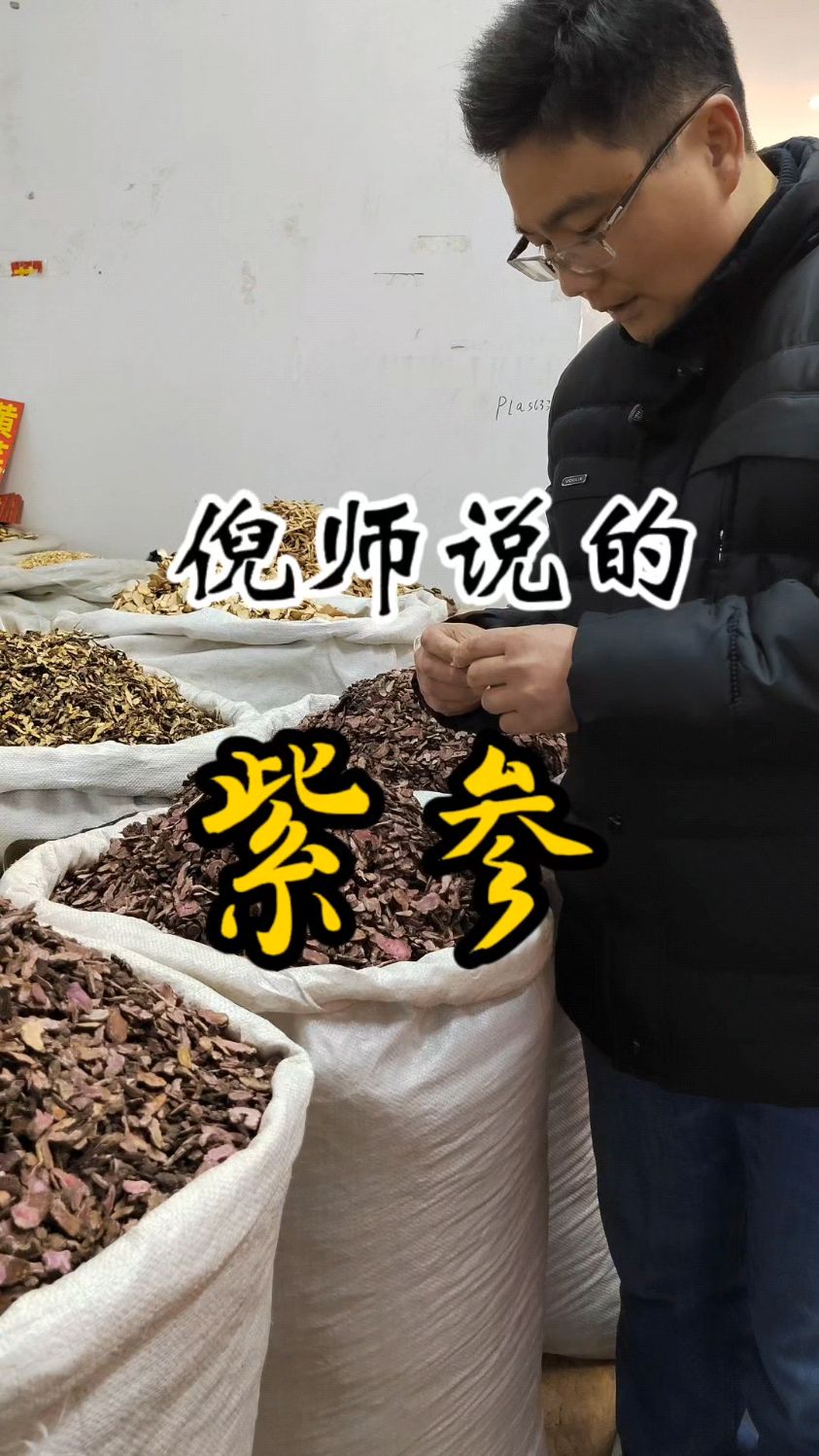 倪海厦讲的紫参长什么样子,紫参又叫草河车