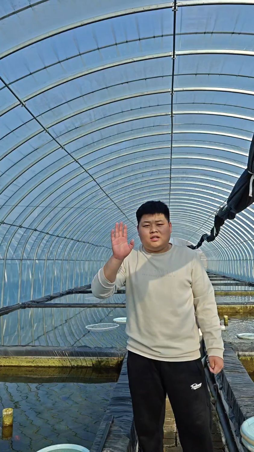 兰寿金鱼活体本无价 喜欢它能接受它的价值就好