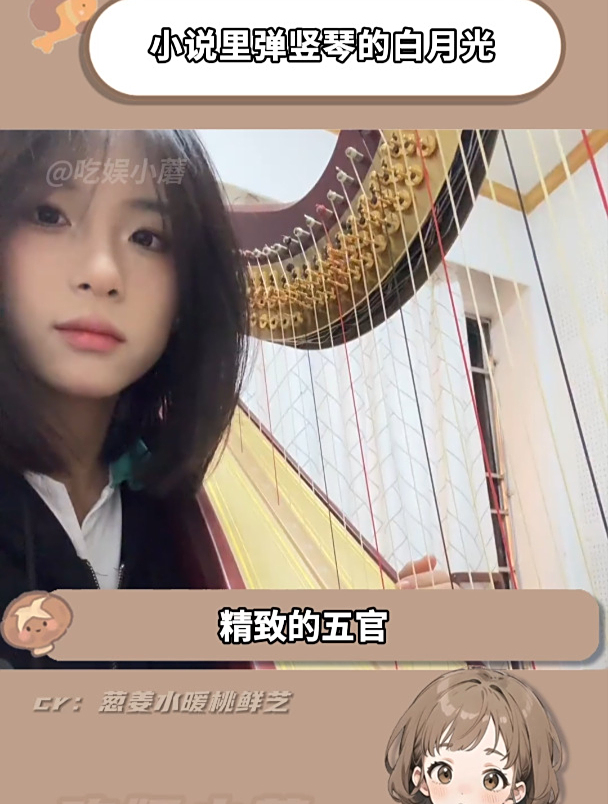 这就是小说里弹竖琴的白月光女主吧!