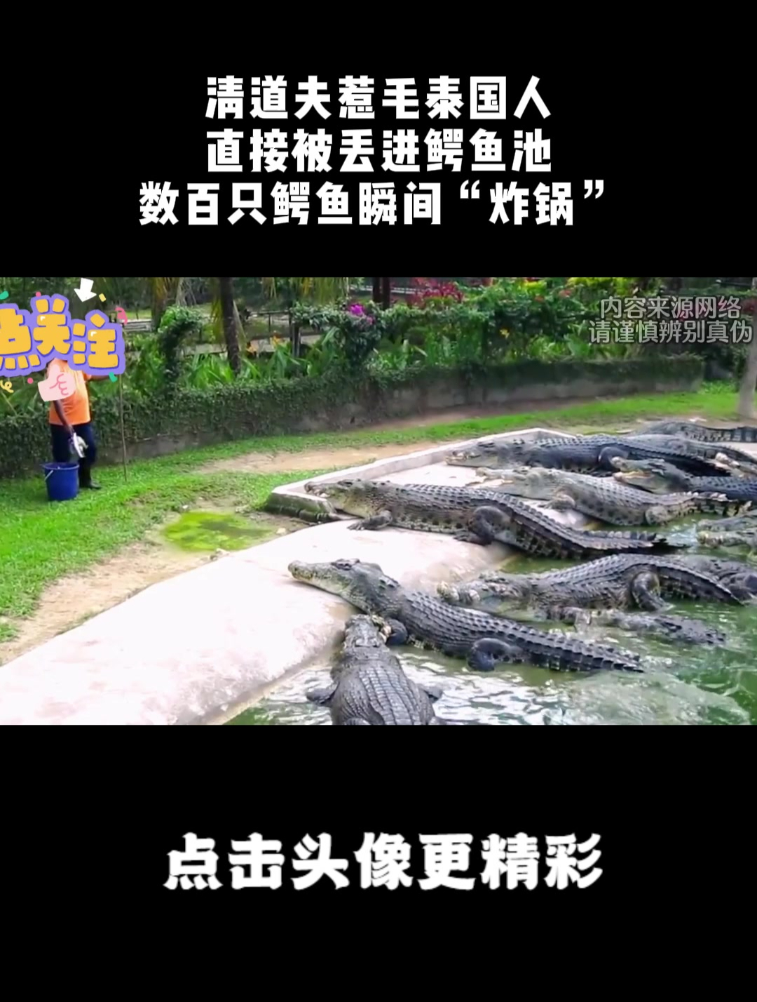 清道夫惹毛泰国人,直接被丢进鳄鱼池,数百只鳄鱼瞬间“炸锅”!