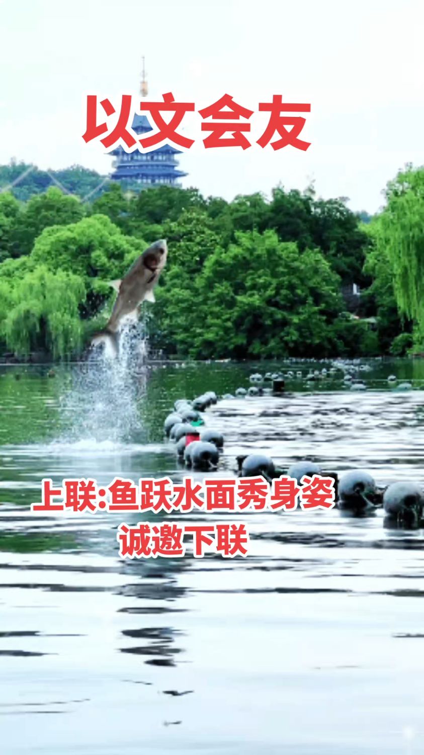 上联:鱼跃水面秀身姿-诚邀下联