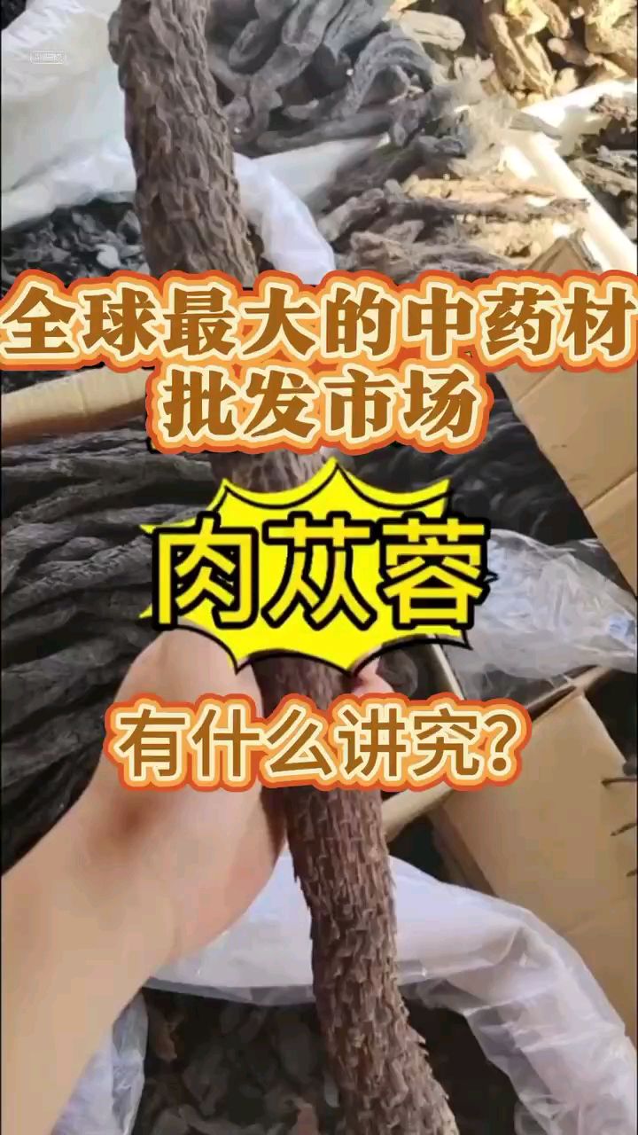 肉苁蓉有什么讲究