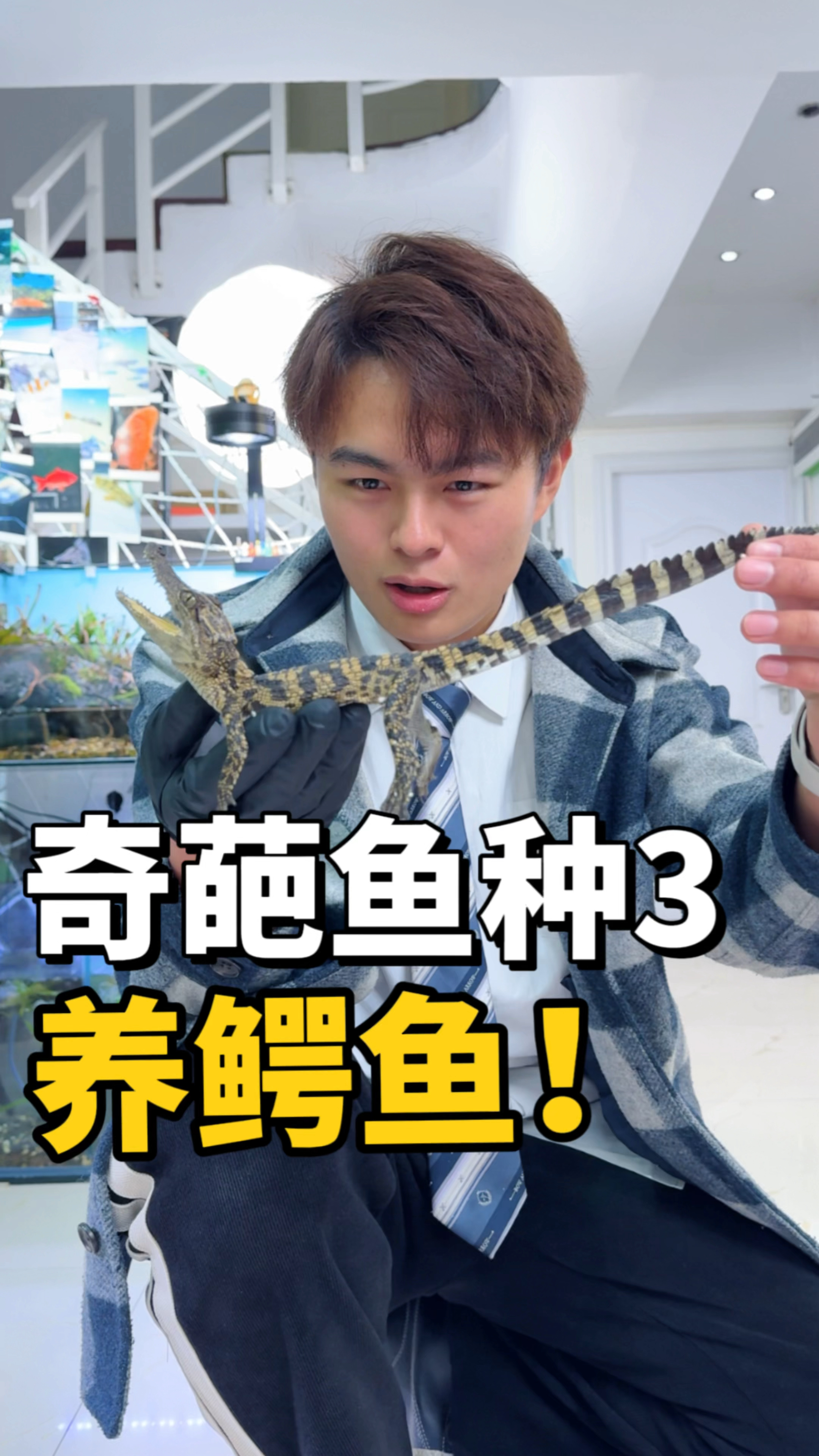 养鳄鱼再次回归!