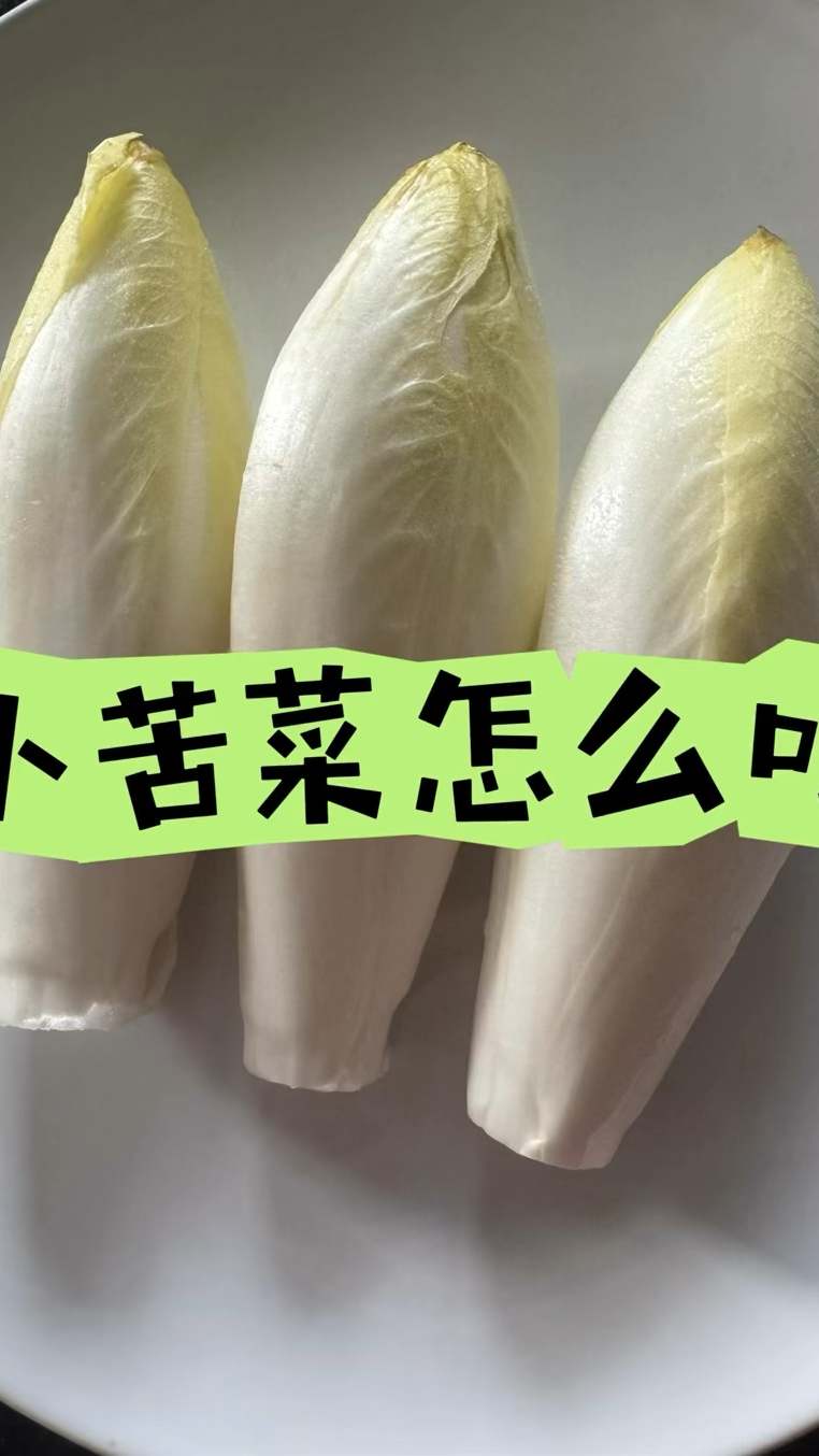 小苦菜也叫菊苣,是比利时的国菜,营养特殊,吃法简单。
