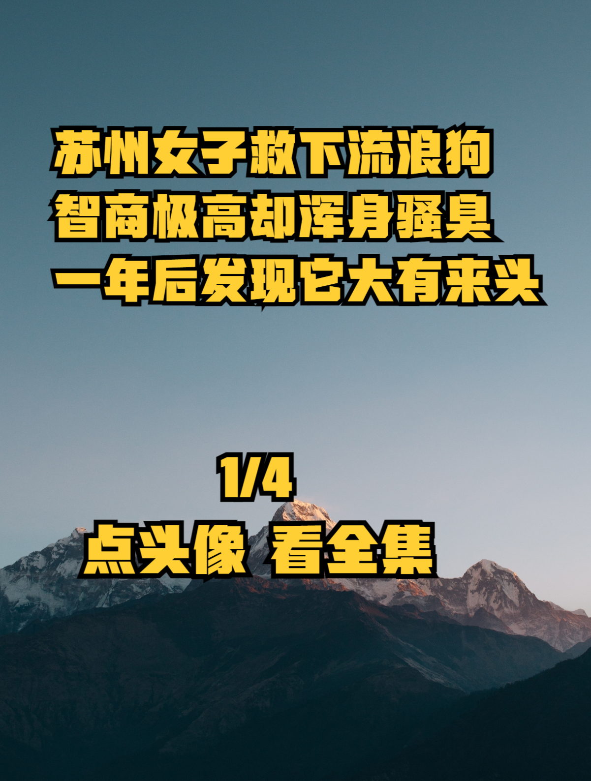 苏州女子救下流浪狗,智商极高却浑身骚臭,一年后发现它大有来头