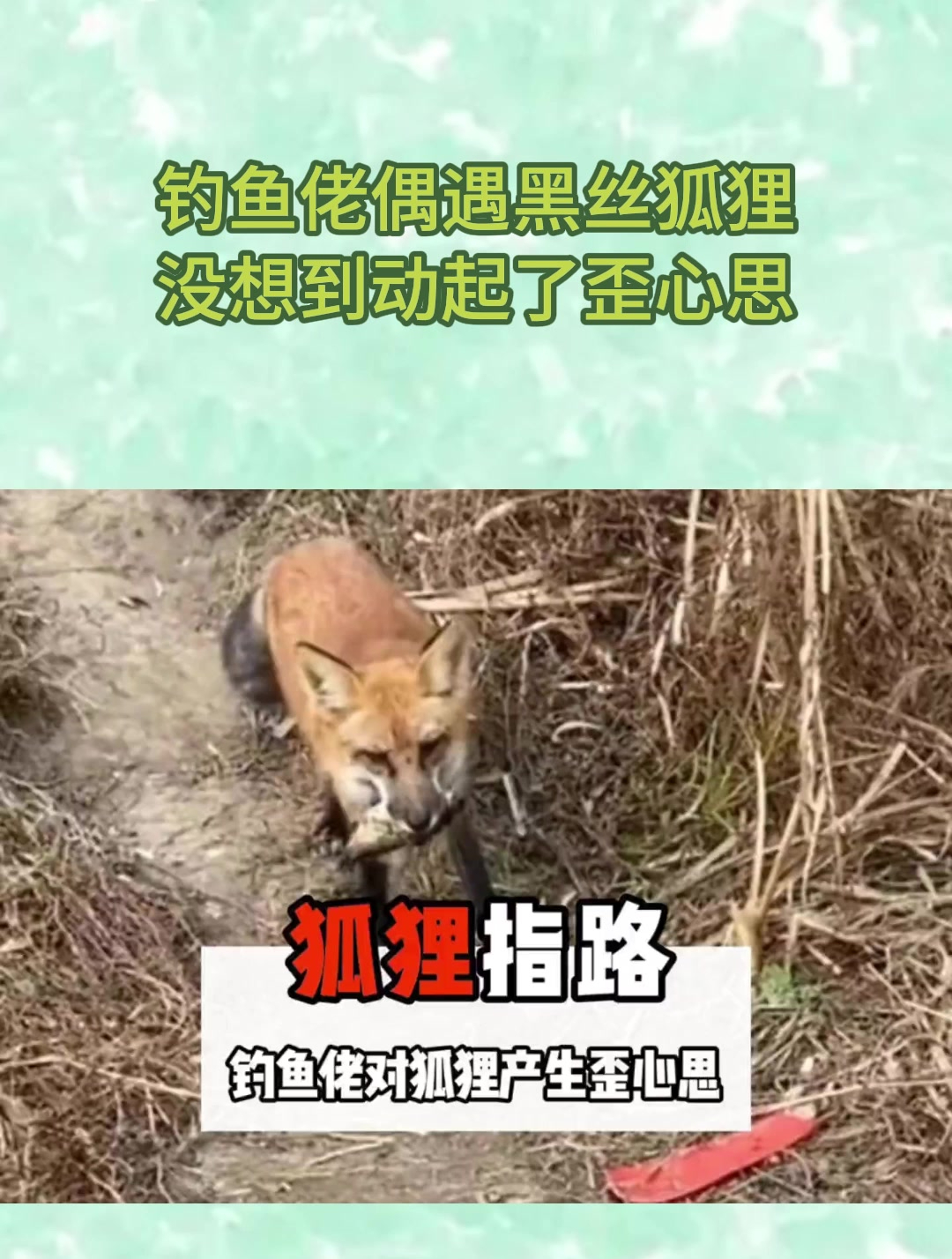 钓鱼佬偶遇黑丝狐狸-没想到动起了歪心思