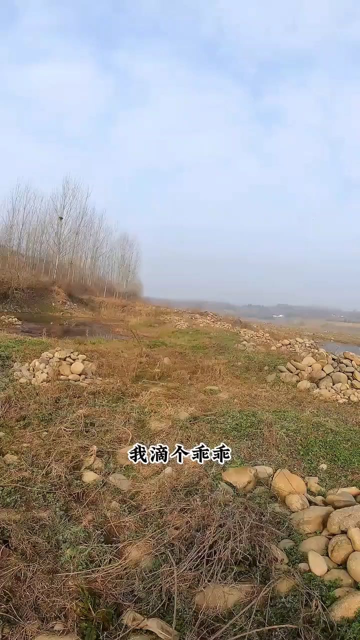 沙坑寻大鲫,个个都是黄金鲫#野钓鲫鱼#野钓