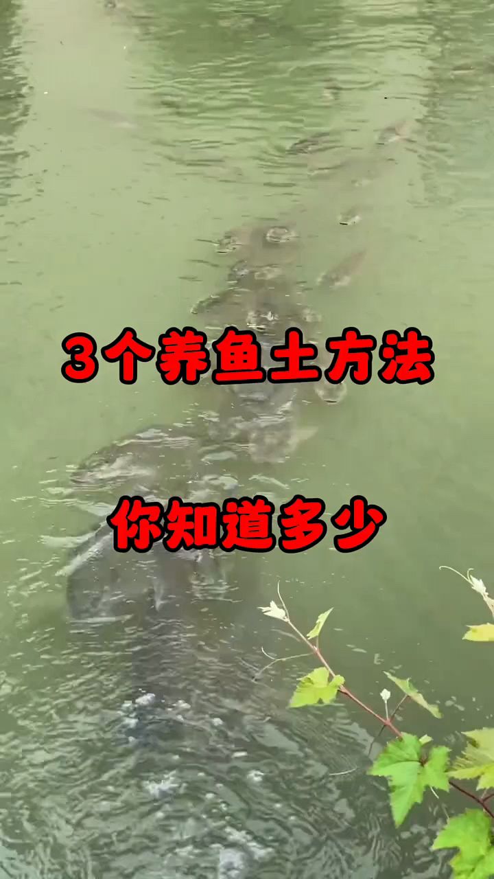 三个养鱼土方法,你知道多少