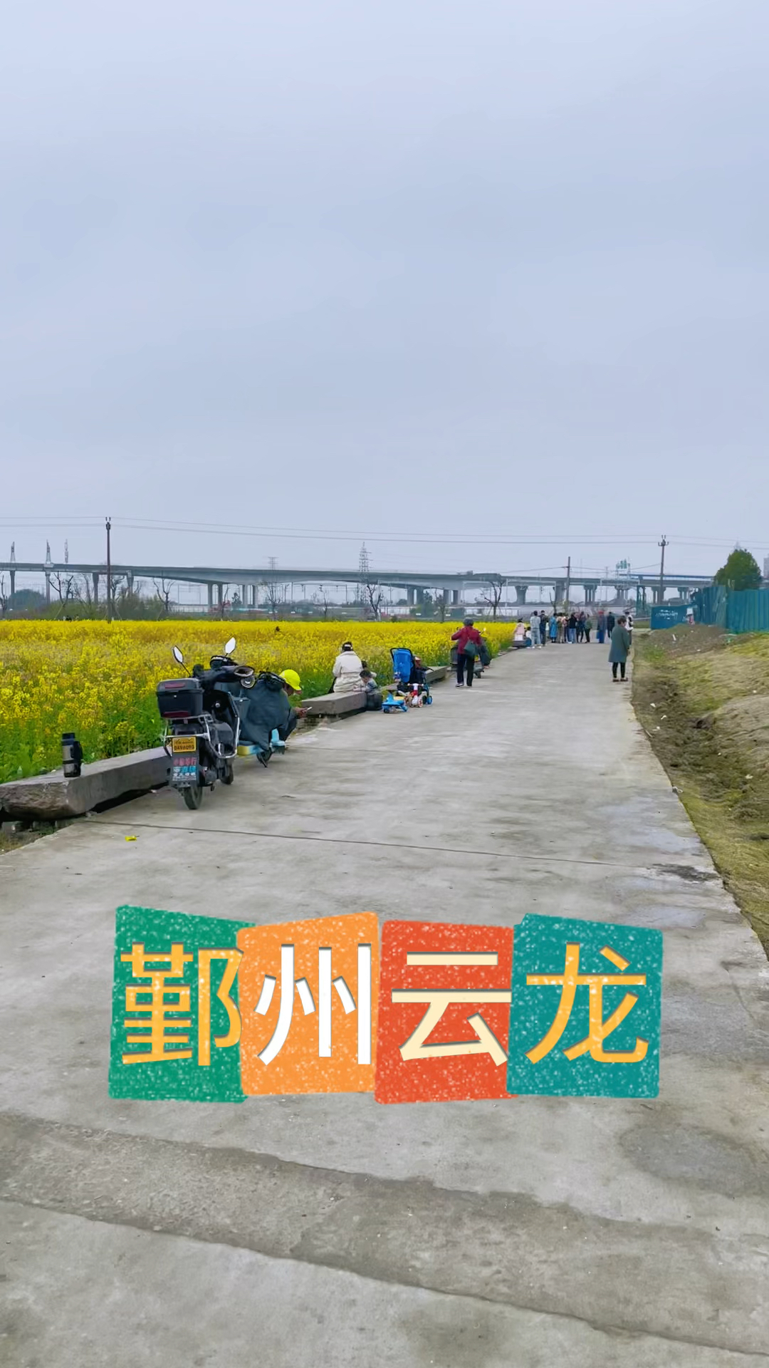 宁波鄞州的七彩油菜花,离市区近也给它评颗星