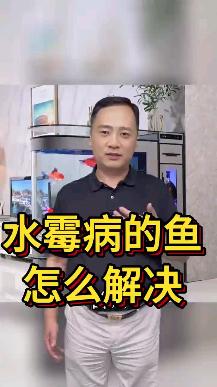水霉病的鱼怎么解决