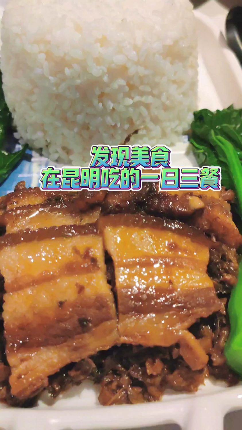 梅菜扣肉盖饭这个梅菜看着像现做的