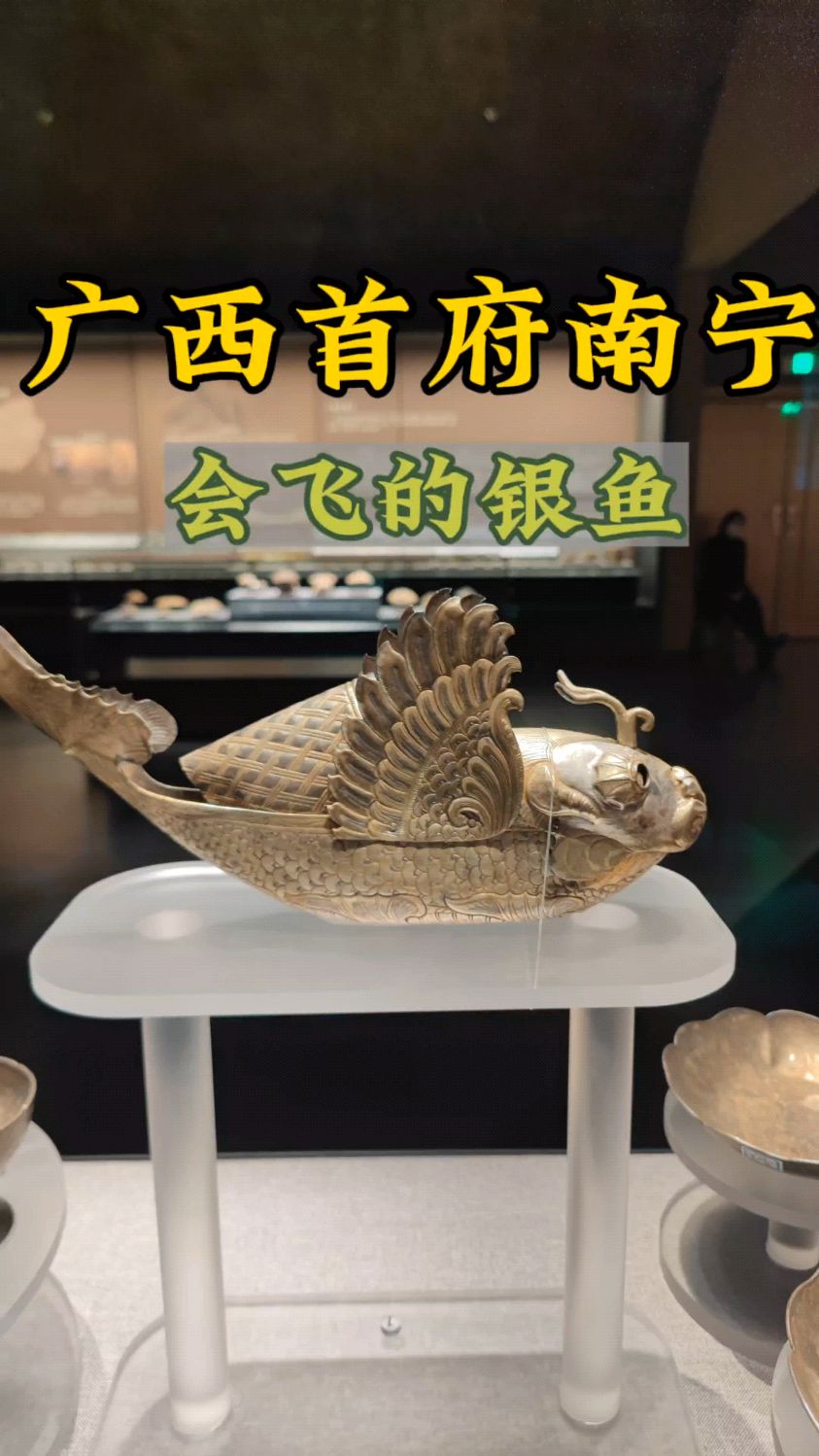 广西最多的文物在首府南宁,会飞的银鱼,环保的凤灯,龅牙的大铜马,像武林秘籍的岩画