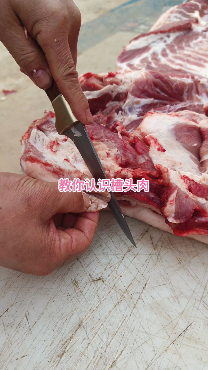 教你认识什么是槽头肉