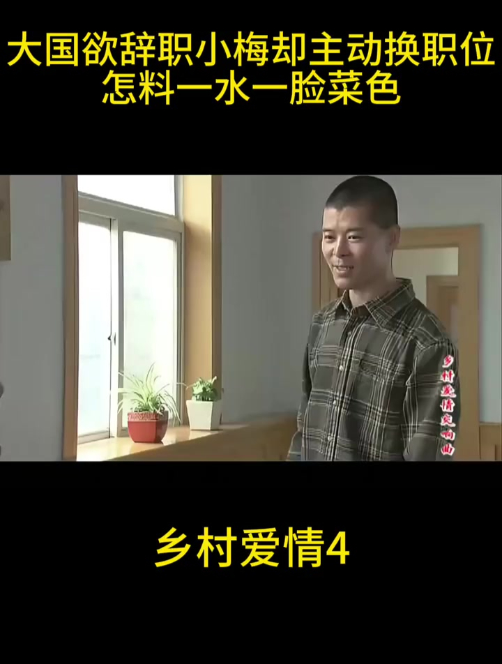 大国欲辞职,小梅却主动换职位,怎料一水一脸菜色