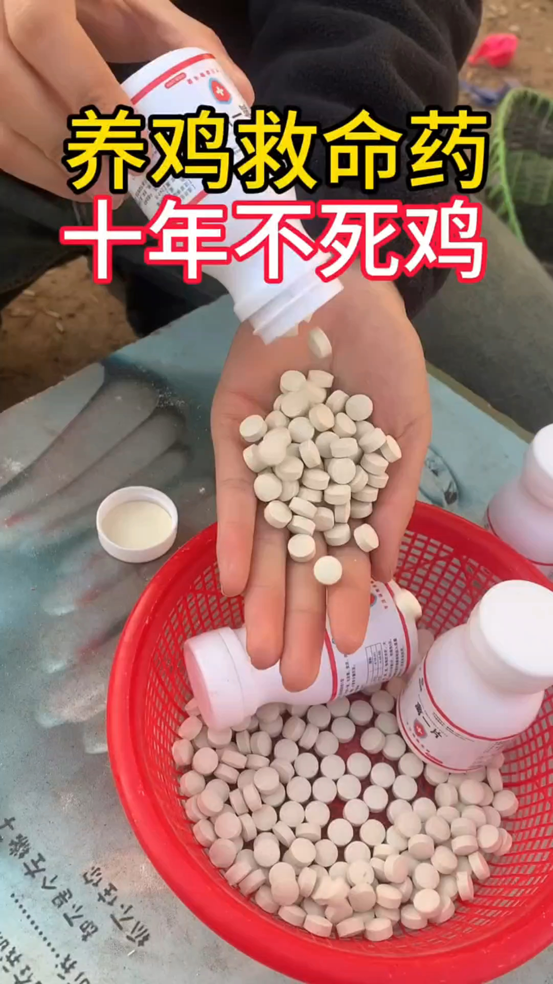 养鸡的老铁注意,鸡鸭鹅生病不用去兽药店了,就用禽一片