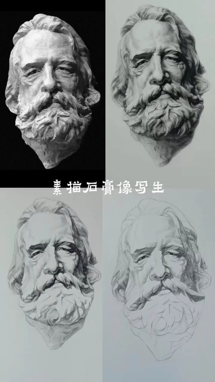 素描人物石膏像写生