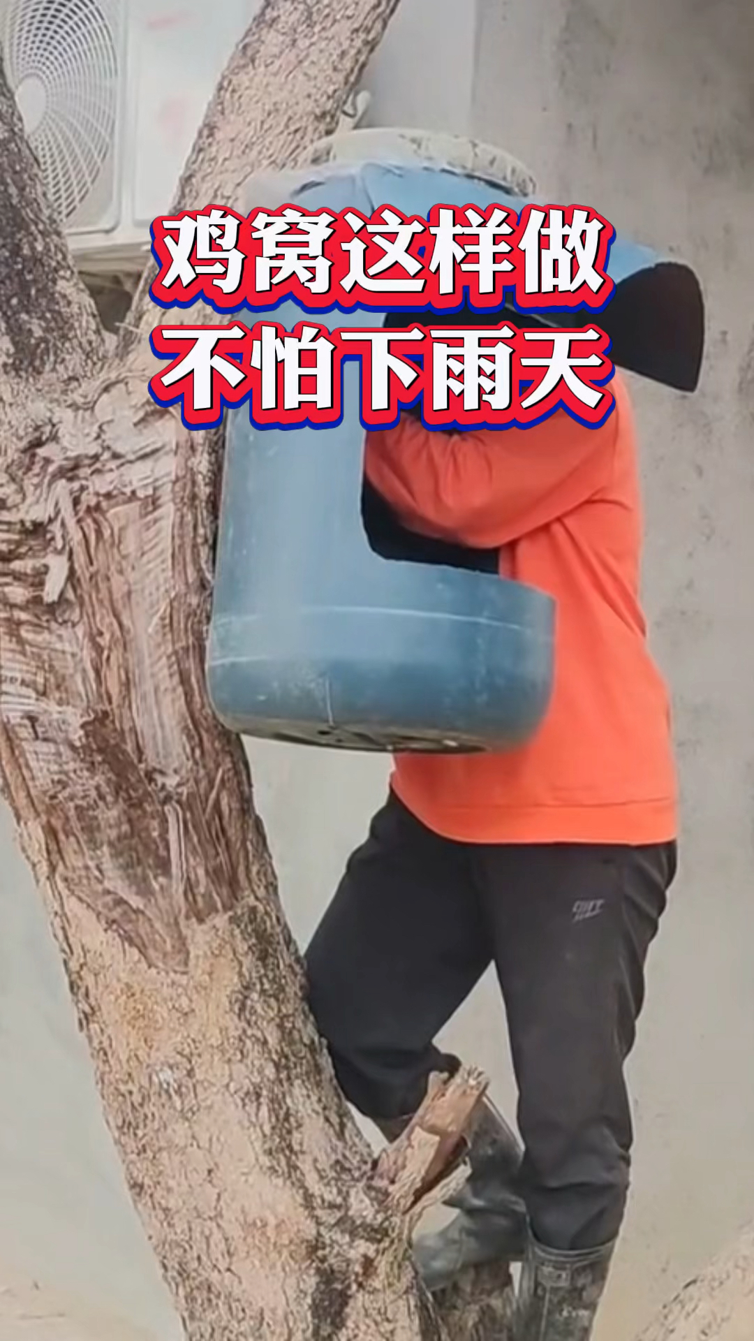 鸡窝这样做,不怕下雨天