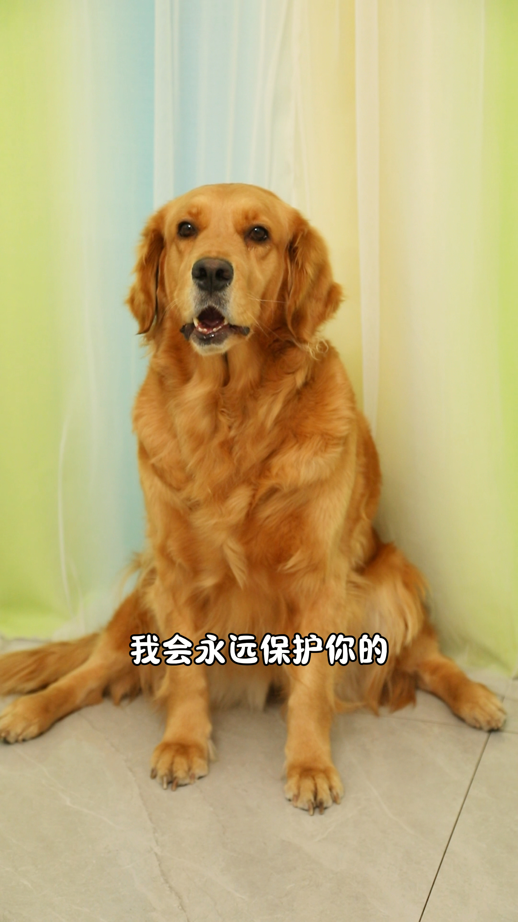 奶茶替coco背黑锅