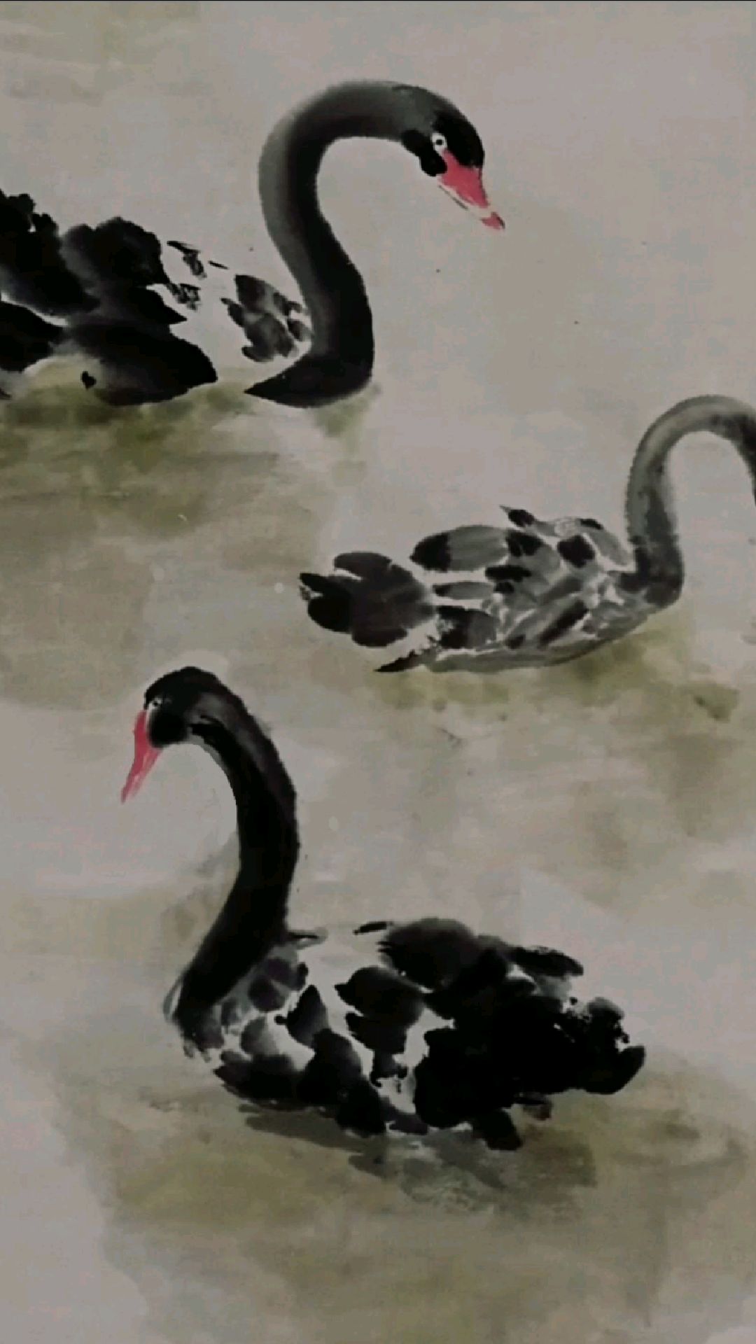 水墨黑天鹅技法(上官天遐教你画国画)