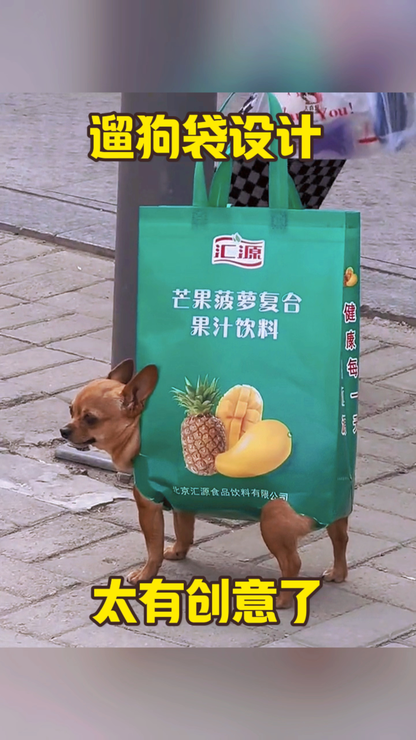 遛狗袋设计,太有创意了
