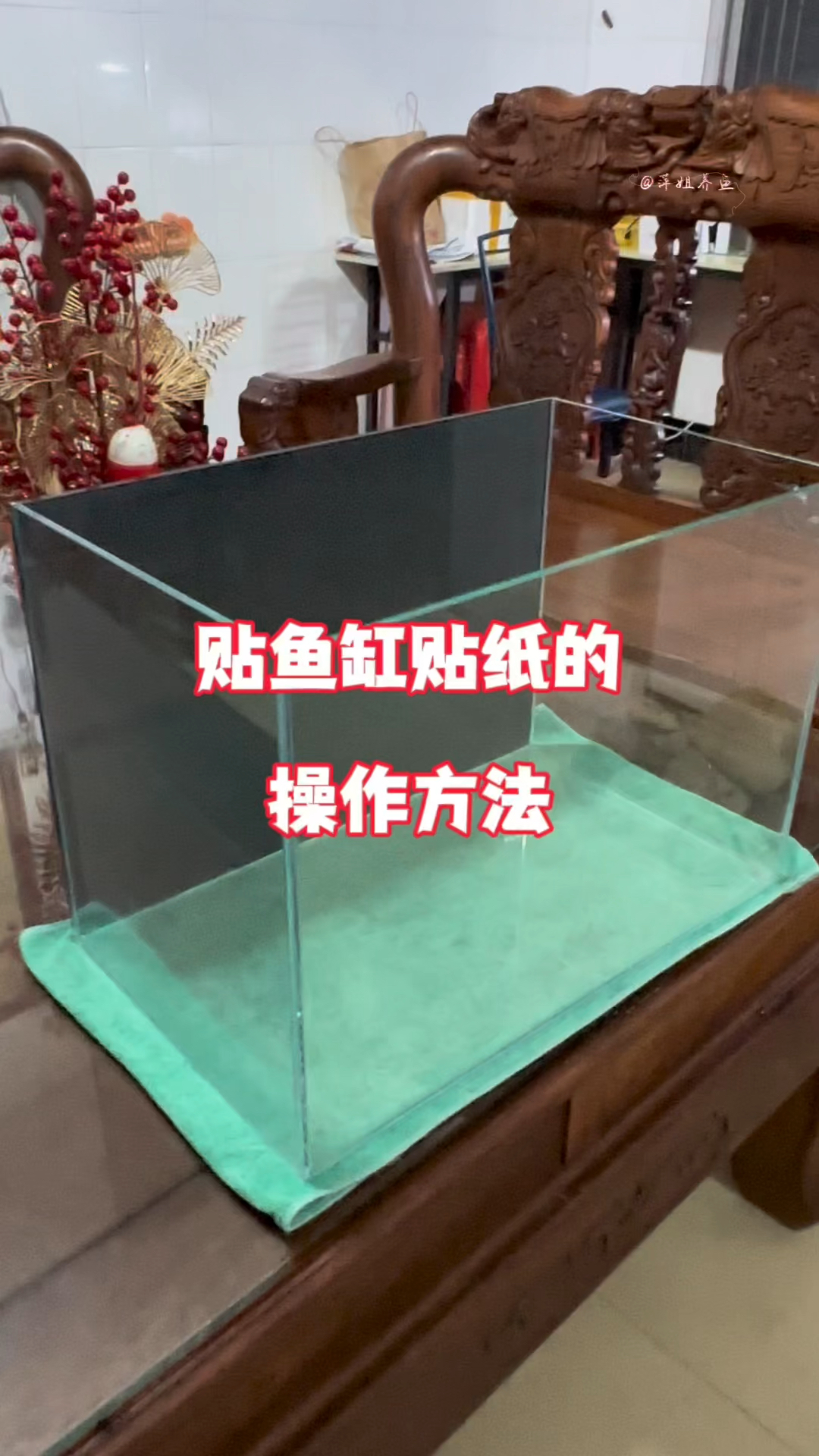 贴鱼缸贴纸的操作方法#水族 #鱼缸里的大自然 #养鱼日记