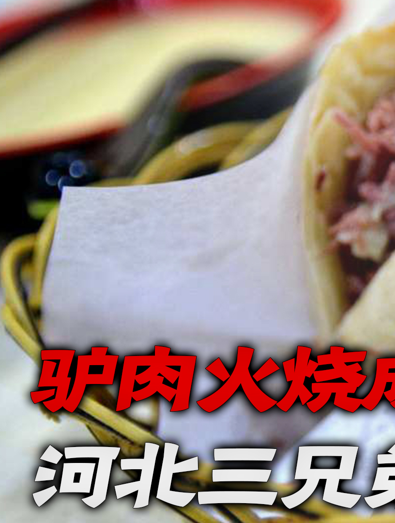 驴肉火烧成“致癌毒物”,河北三兄弟确诊“骨癌”,压根儿没驴肉