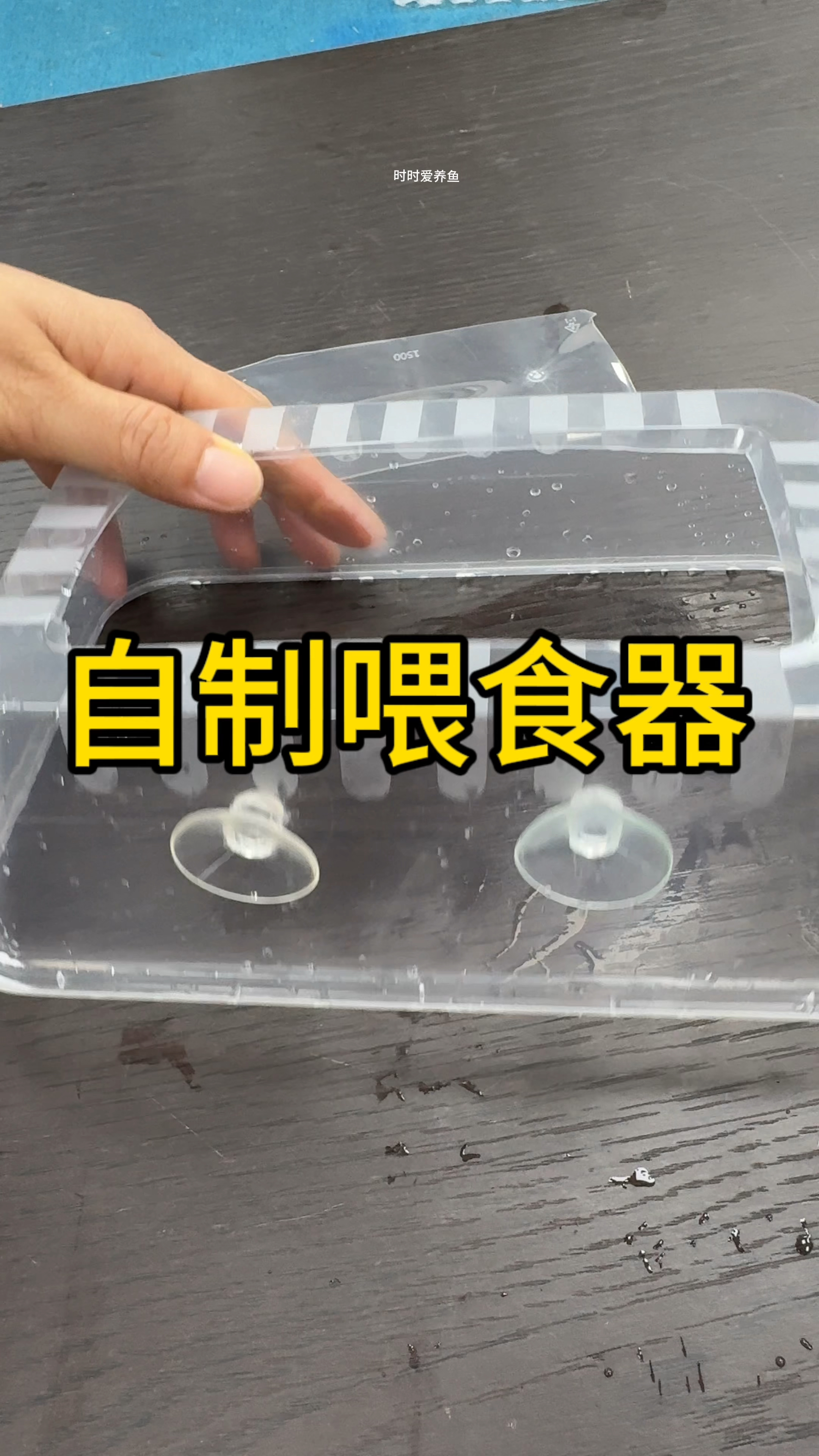 给鱼喂食,就怕鱼粮漂满缸,教你一个自制简易喂食器的方法。