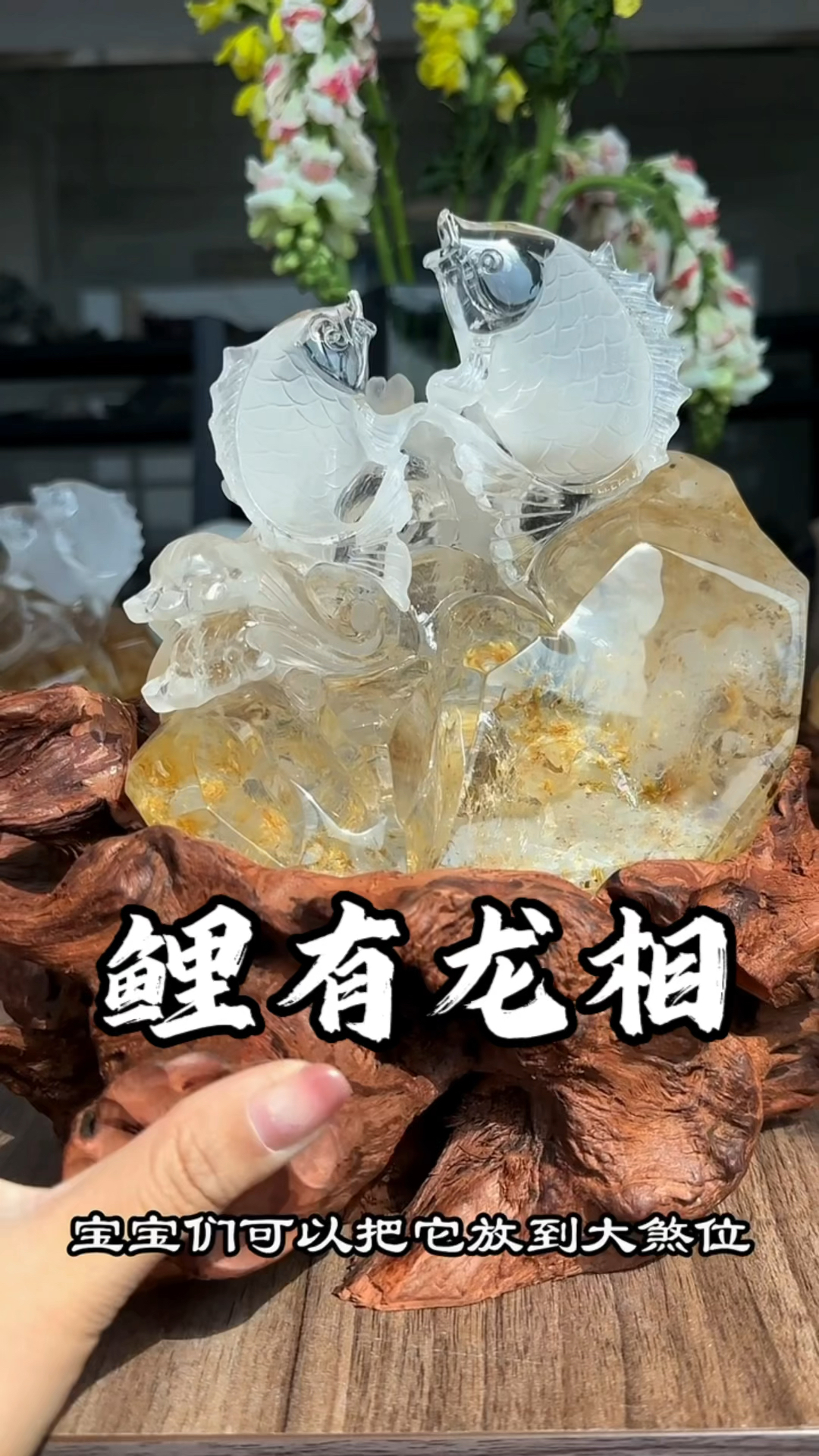 鲤鱼的水晶意义真的不看不知道?