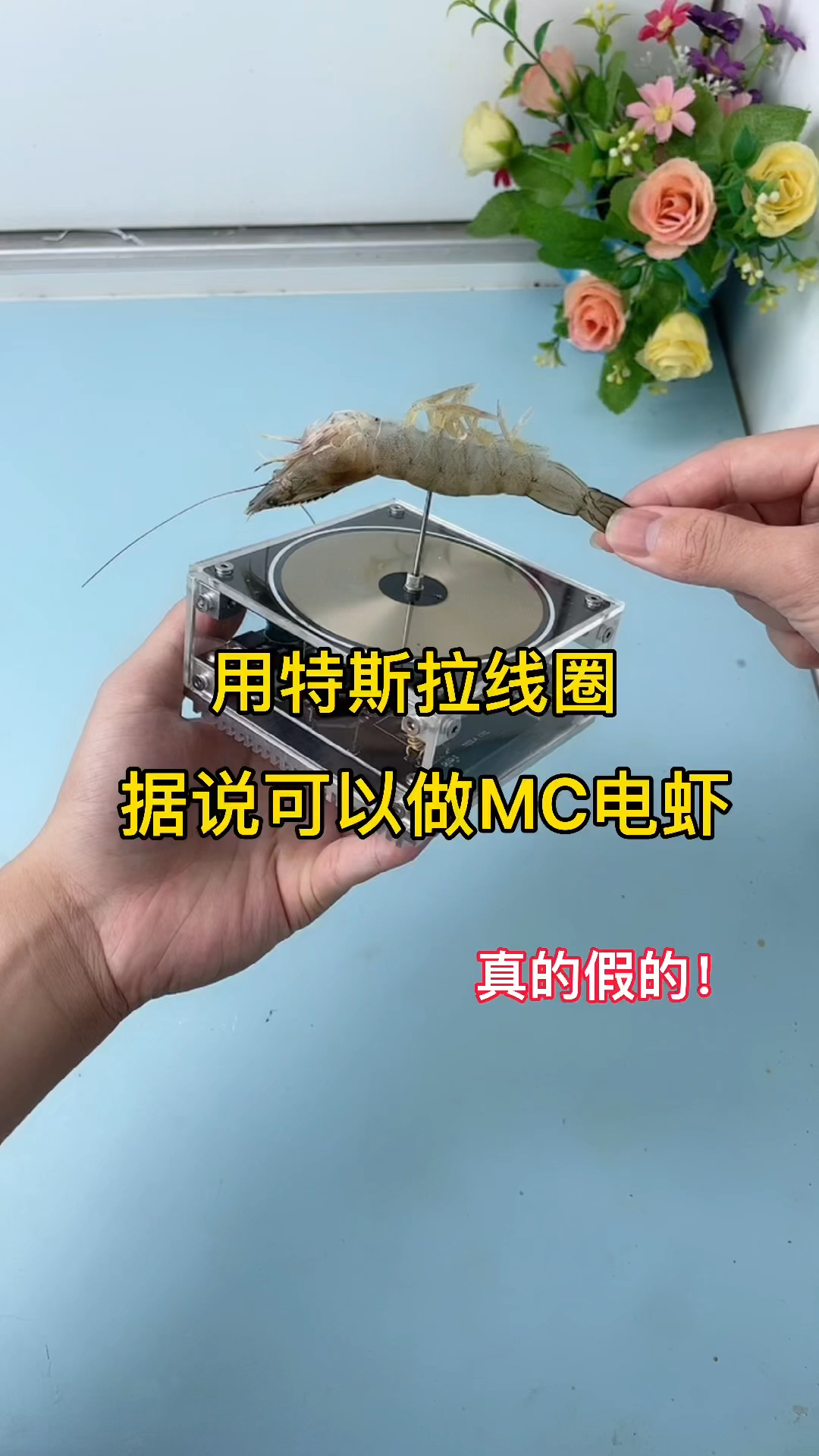 真的有这么神奇吗!