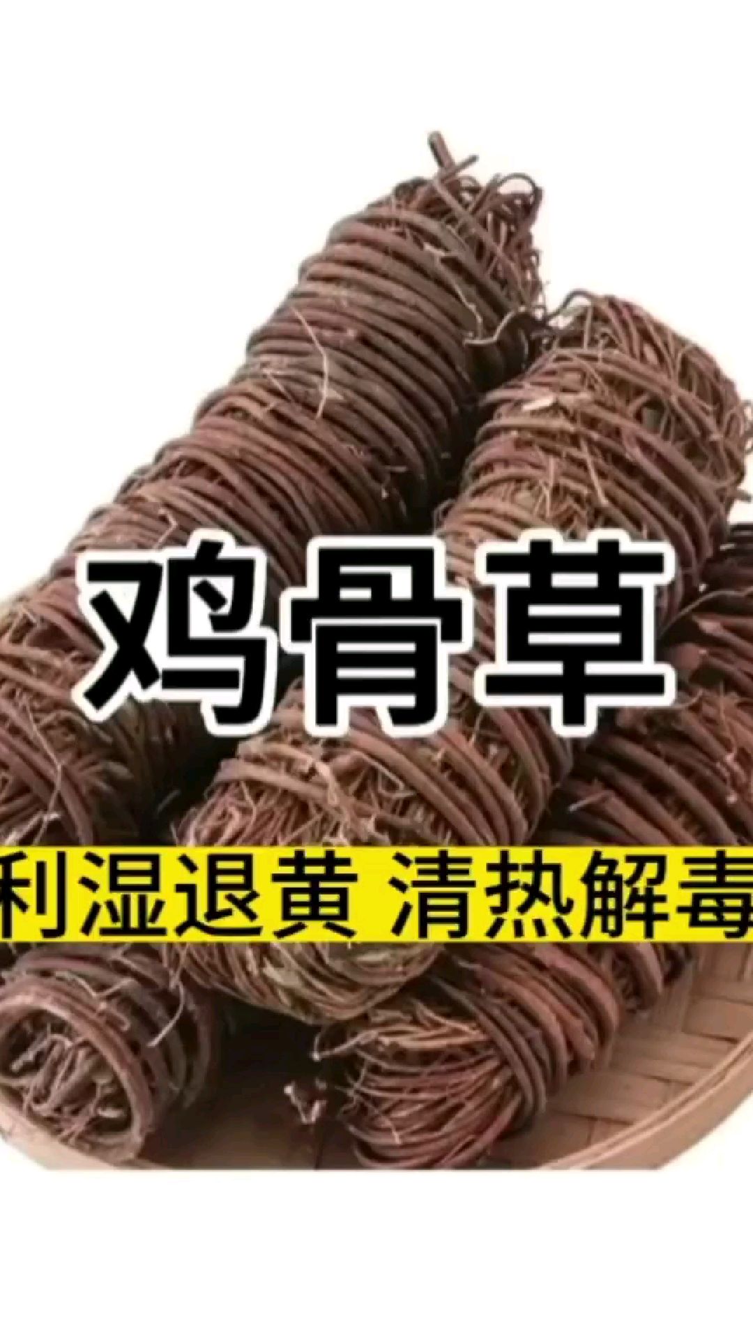 今日分享-鸡骨草 内调养生茶