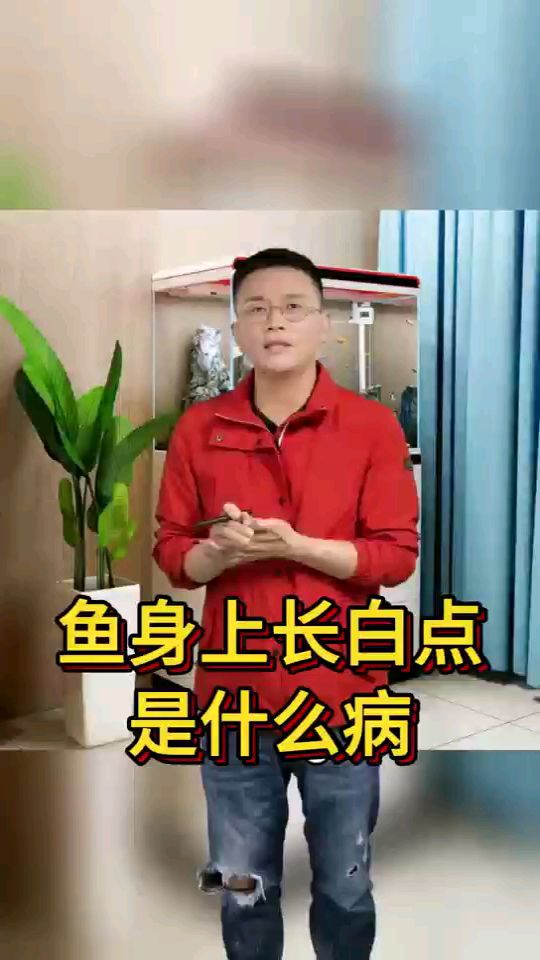 鱼身上长白点是什么病