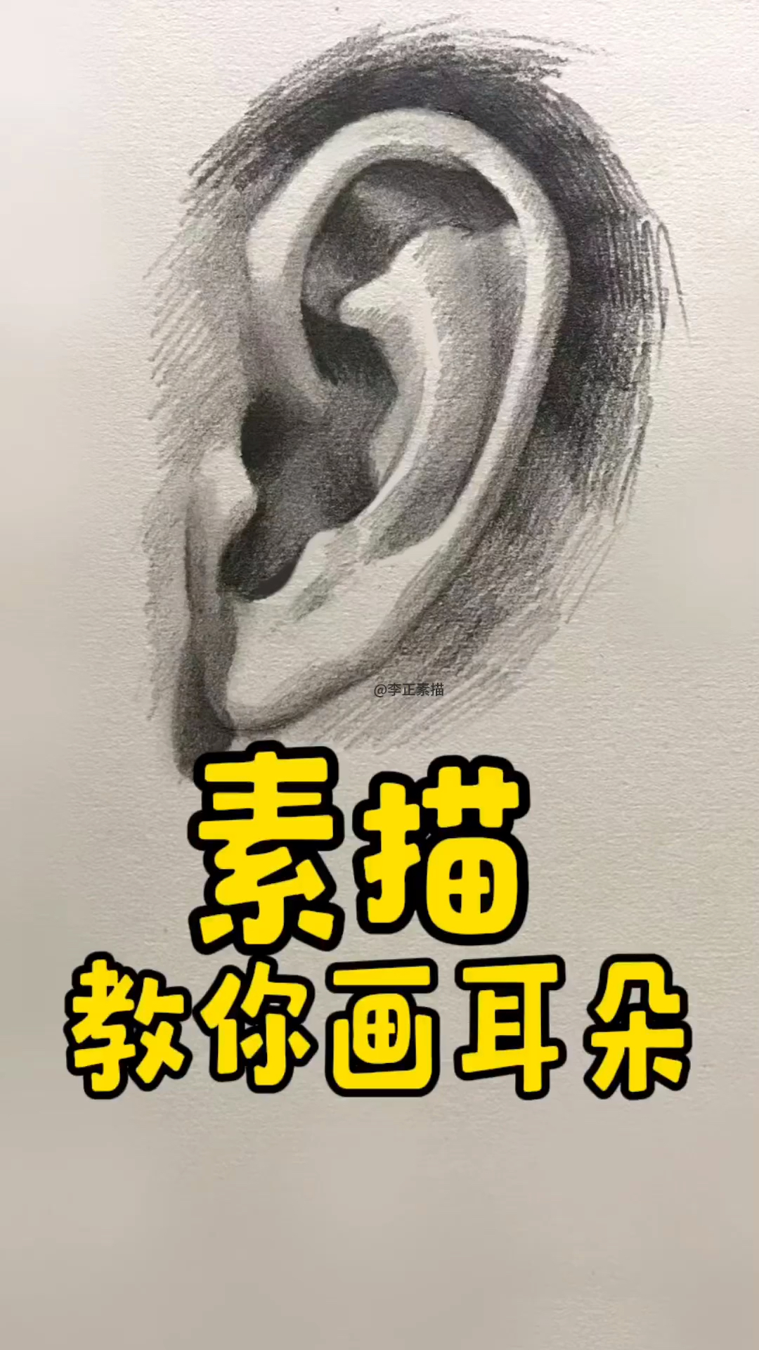 素描局部耳朵教程
