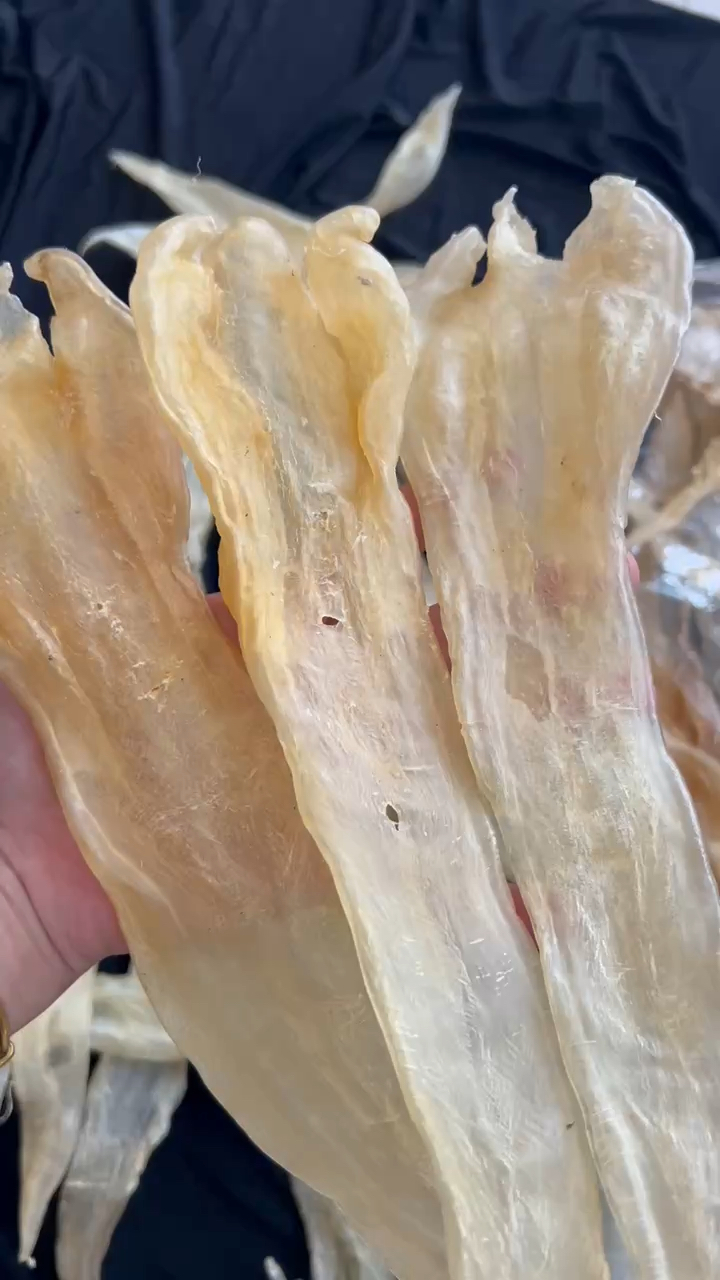 12头精选北海胶北海鳘鱼胶又称阴阳肚,性价比超高