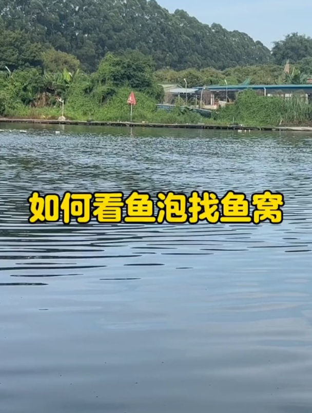 如何看鱼泡找鱼窝?老钓友总结这3种!