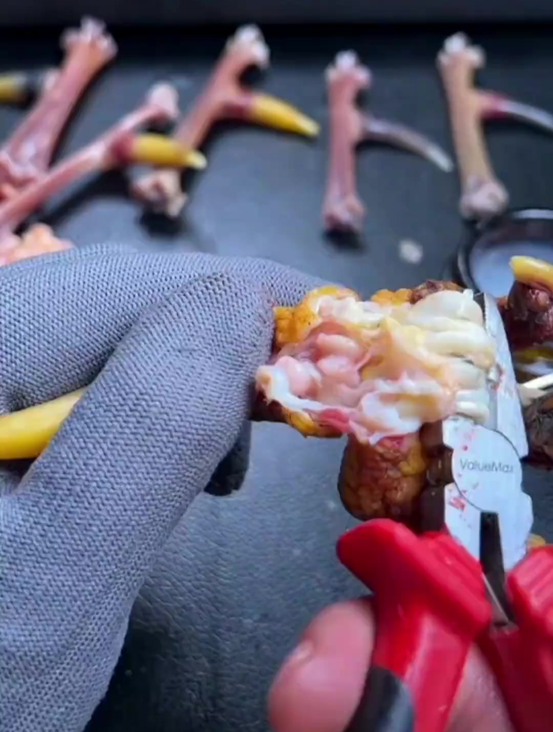 文玩鸡爪骨怎么处理?生的毛爪加工制作的流程,大家看一下