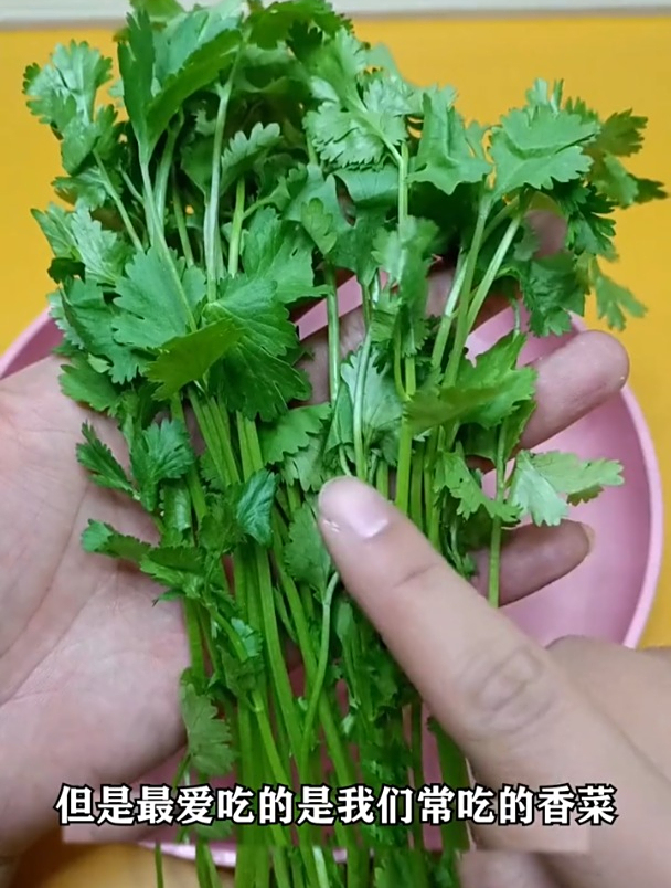 都知道草鱼吃草,究竟喜欢吃什么草?看完视频就知道答案了!