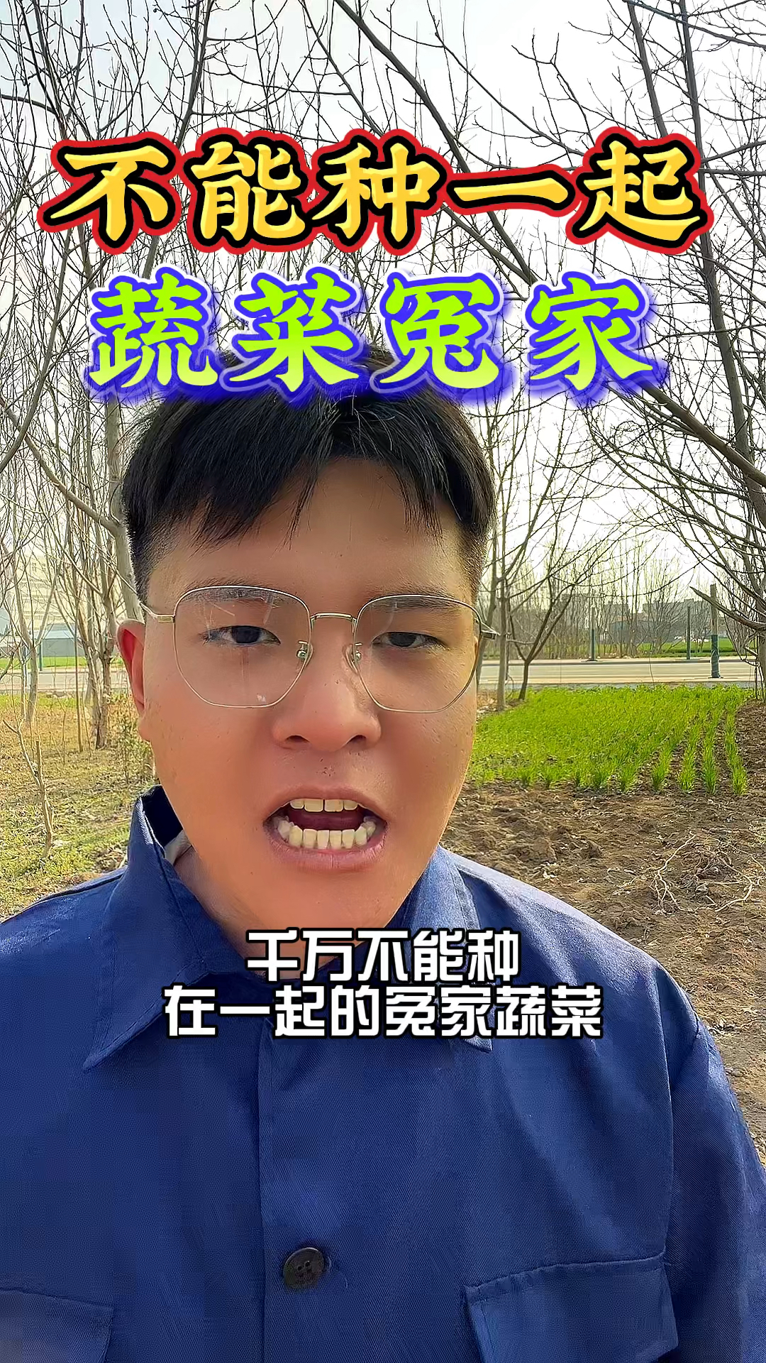 千万都不能种在一起的蔬菜冤家,您都知道有哪些吗