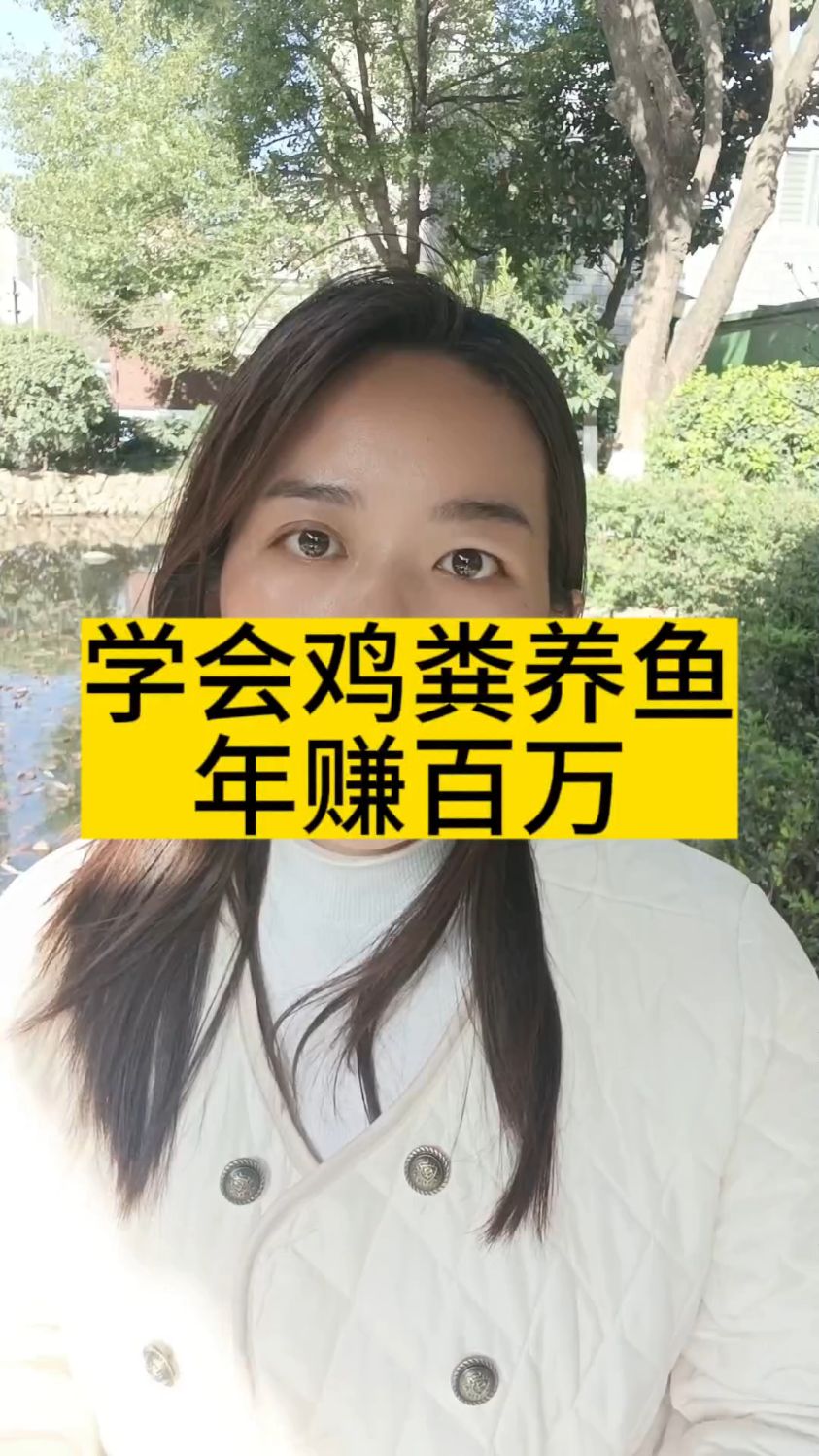 鸡粪怎么发酵养鱼