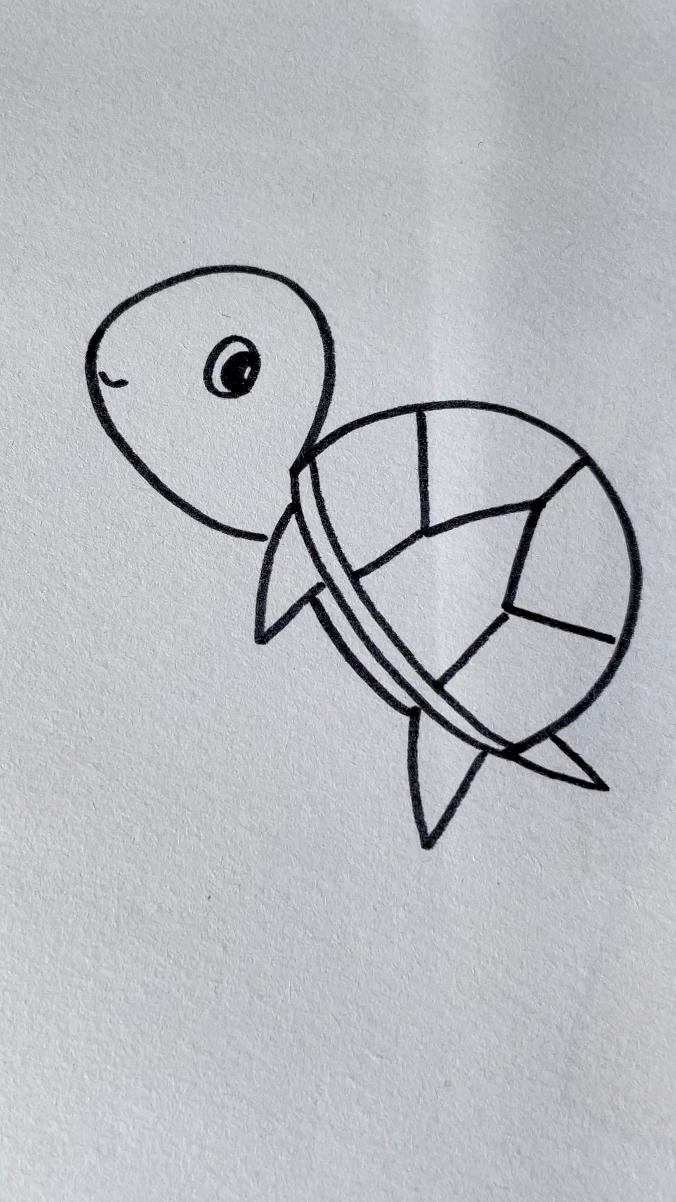 小乌龟简笔画,用3画小乌龟