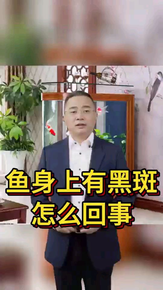 鱼身上有黑斑怎么回事