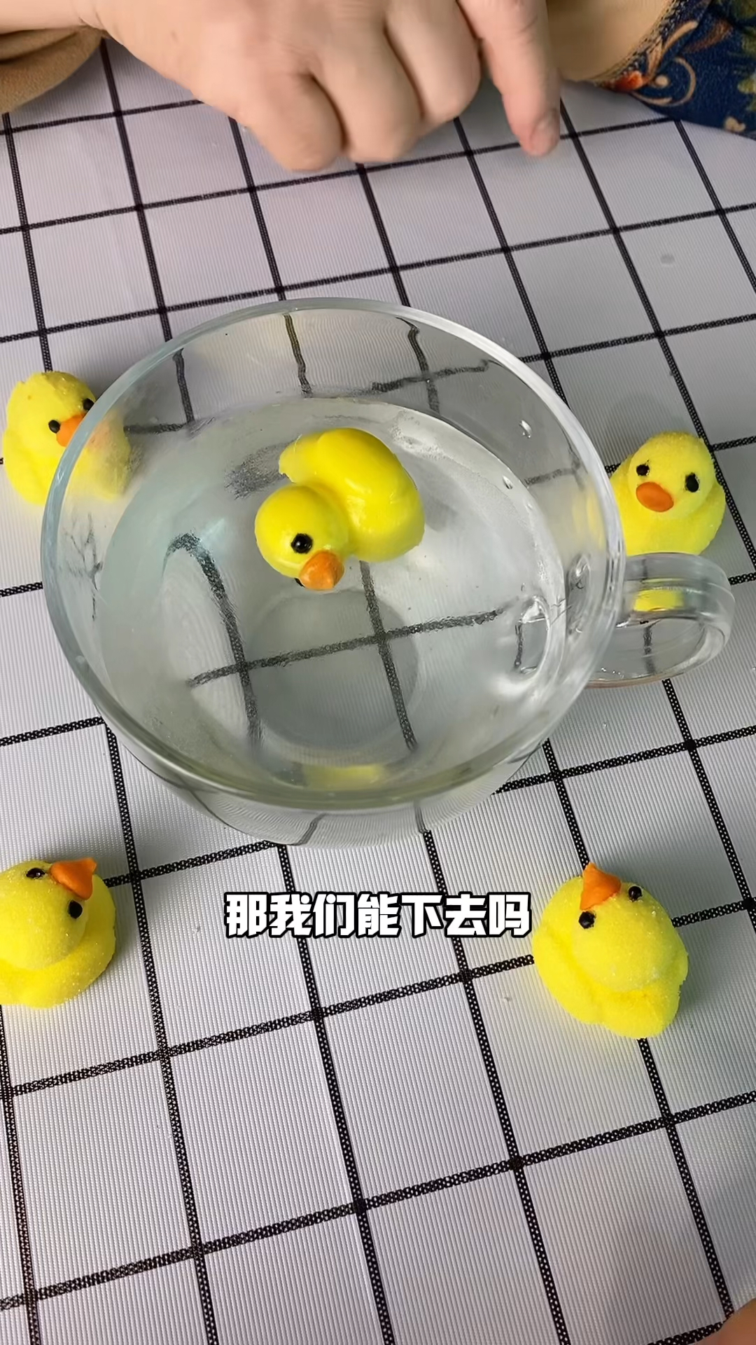 可爱的小黄鸭棉花糖