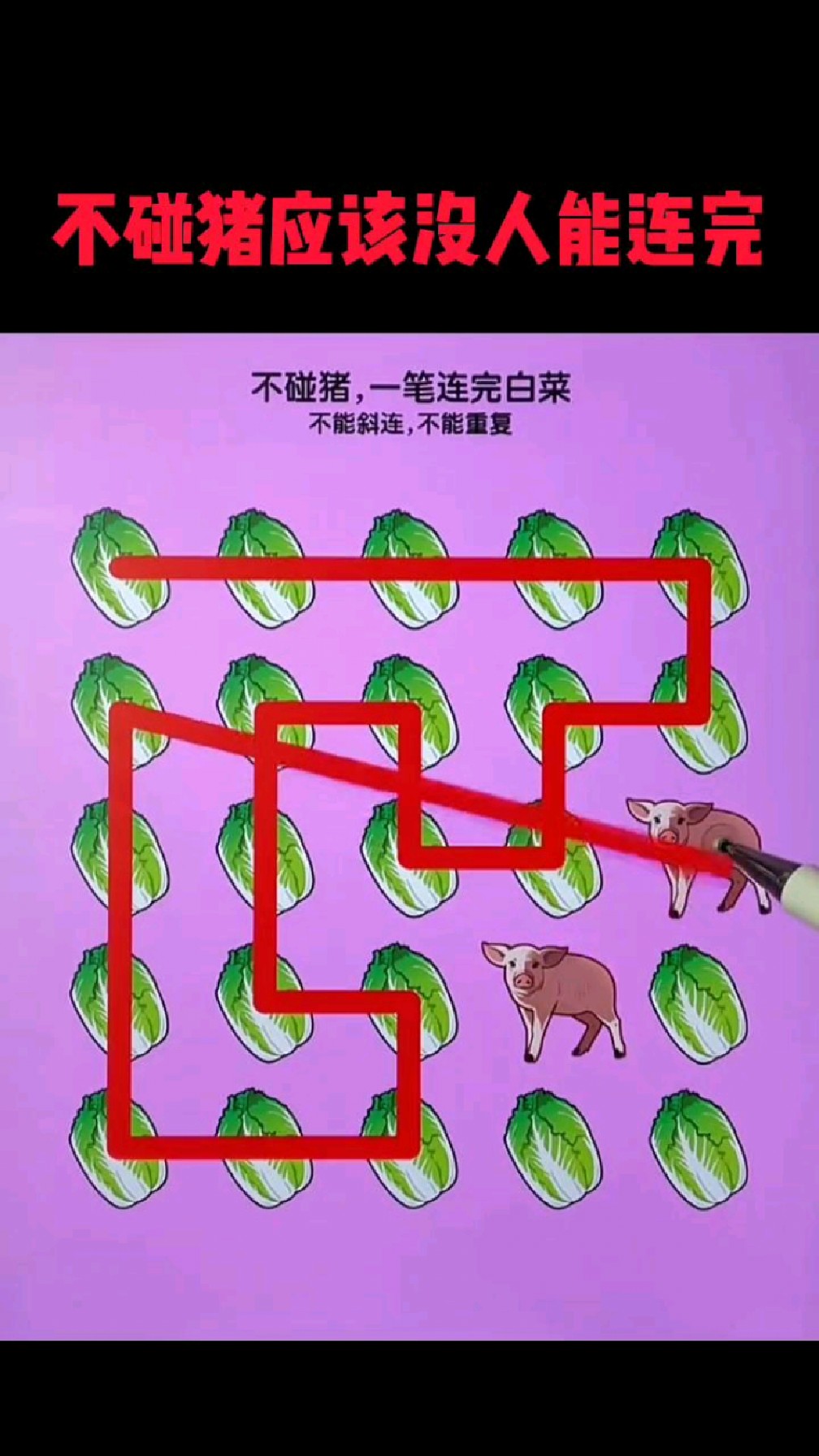 不碰猪应该没人能连完