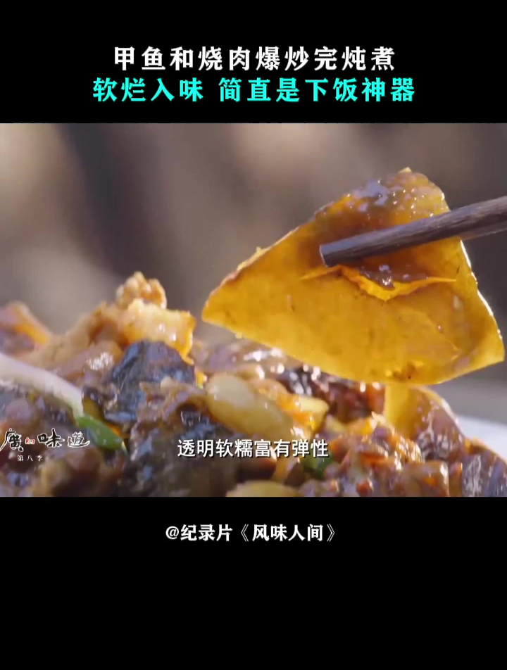 风味人间:甲鱼和烧肉爆炒完炖煮,软烂入味,简直是下饭神器