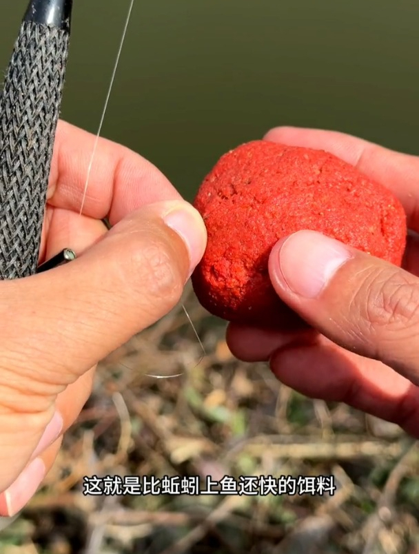 面筋饵虽说专用溪流钓石斑鱼,但90%钓友都用错!
