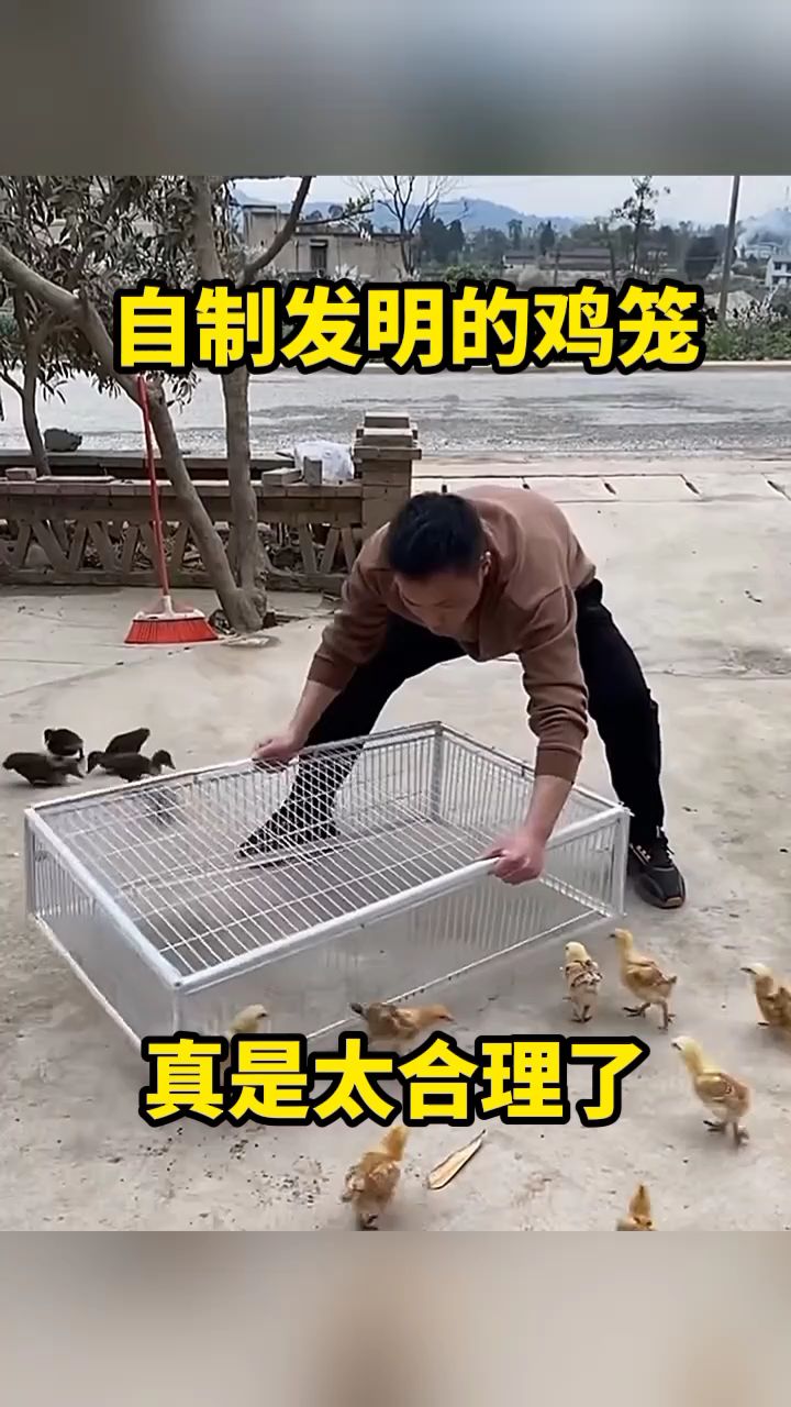 自制发明的鸡笼,真是太合理了!