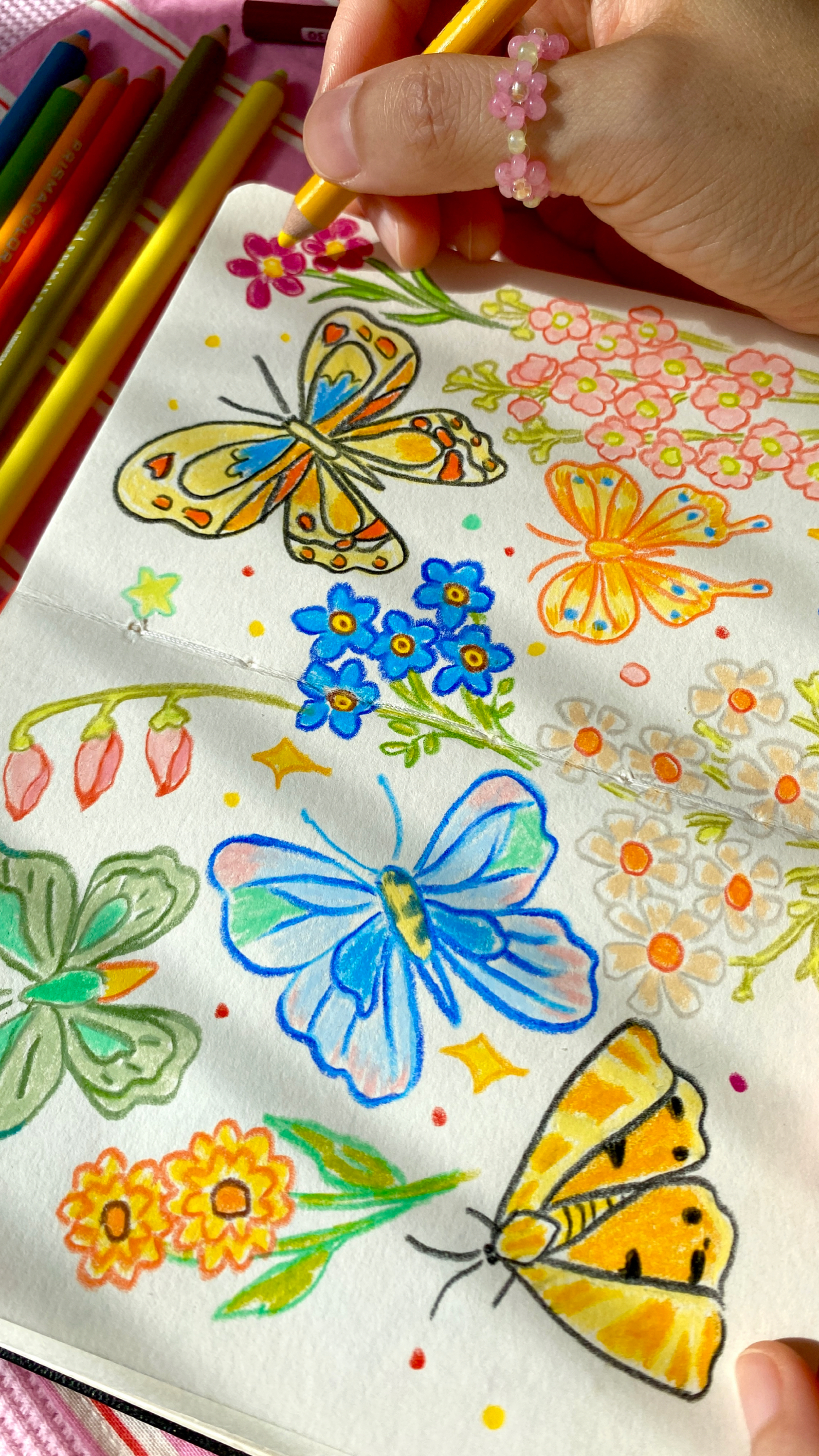 彩铅手绘五彩斑斓小蝴蝶治愈插画